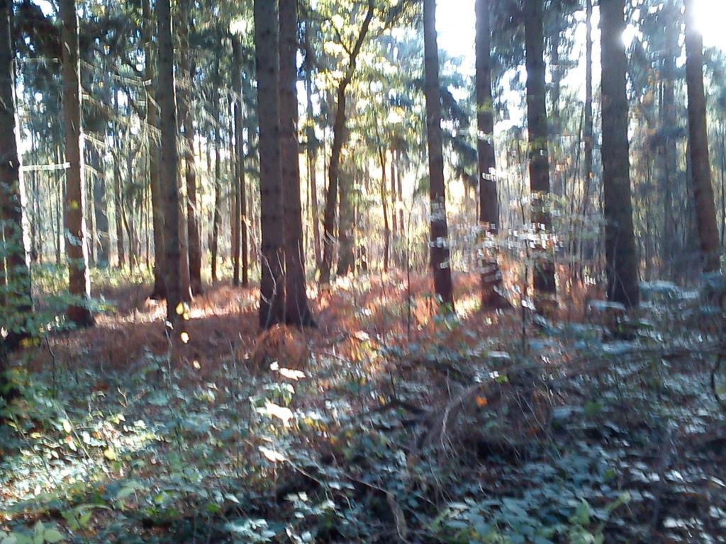 Haus Katharina photo 3