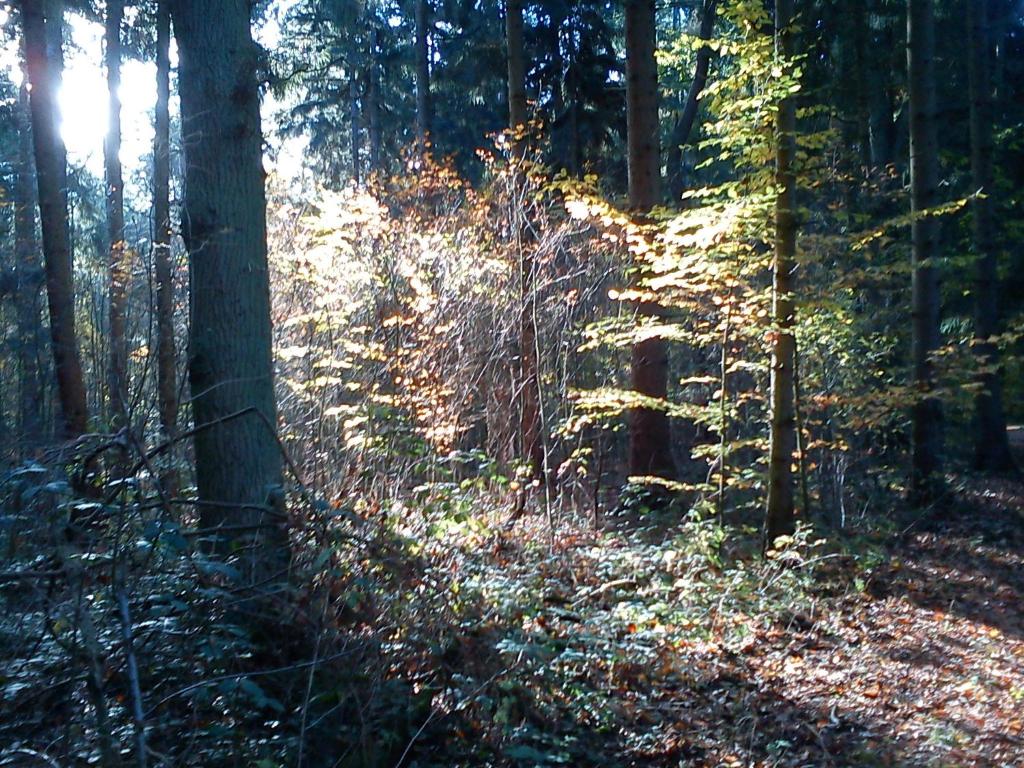 Haus Katharina photo 2