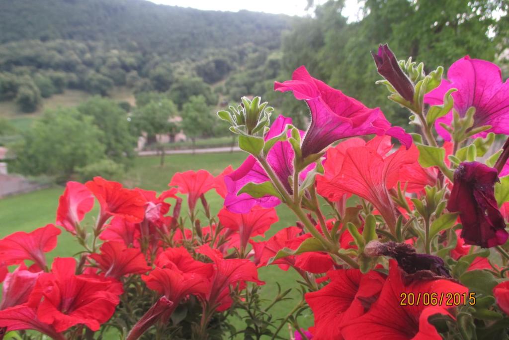 Hotel Montebaldina photo 1