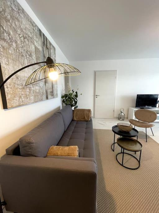 Magnifique appartement à la frontière suisse