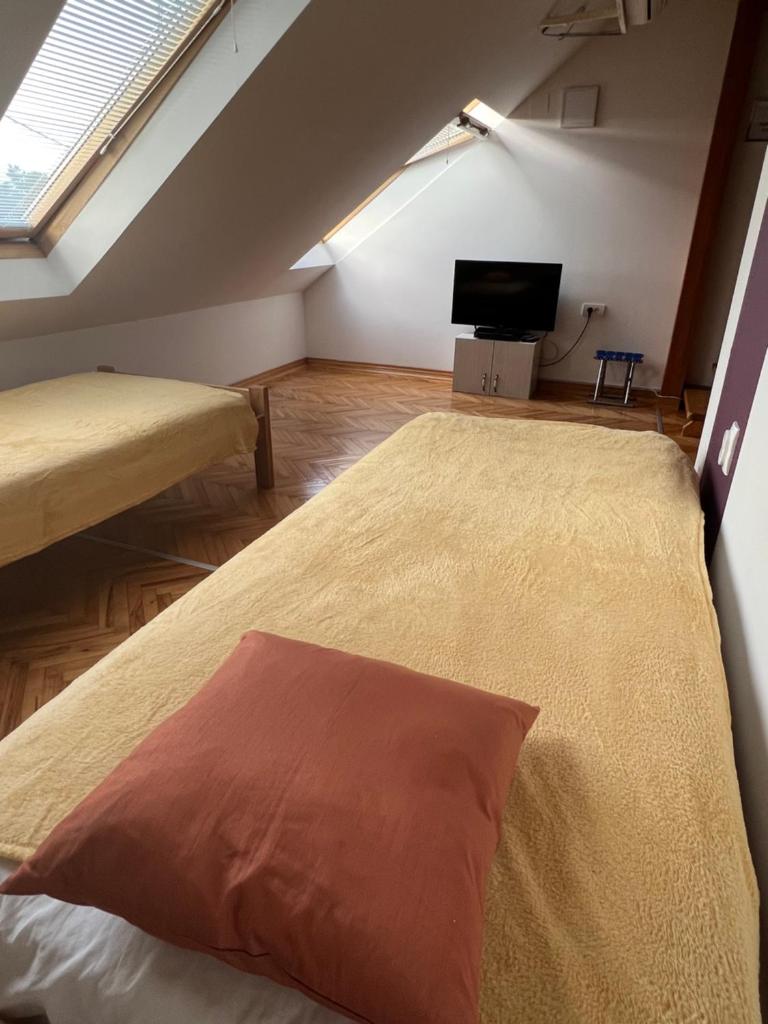 Apartman 55 photo 4