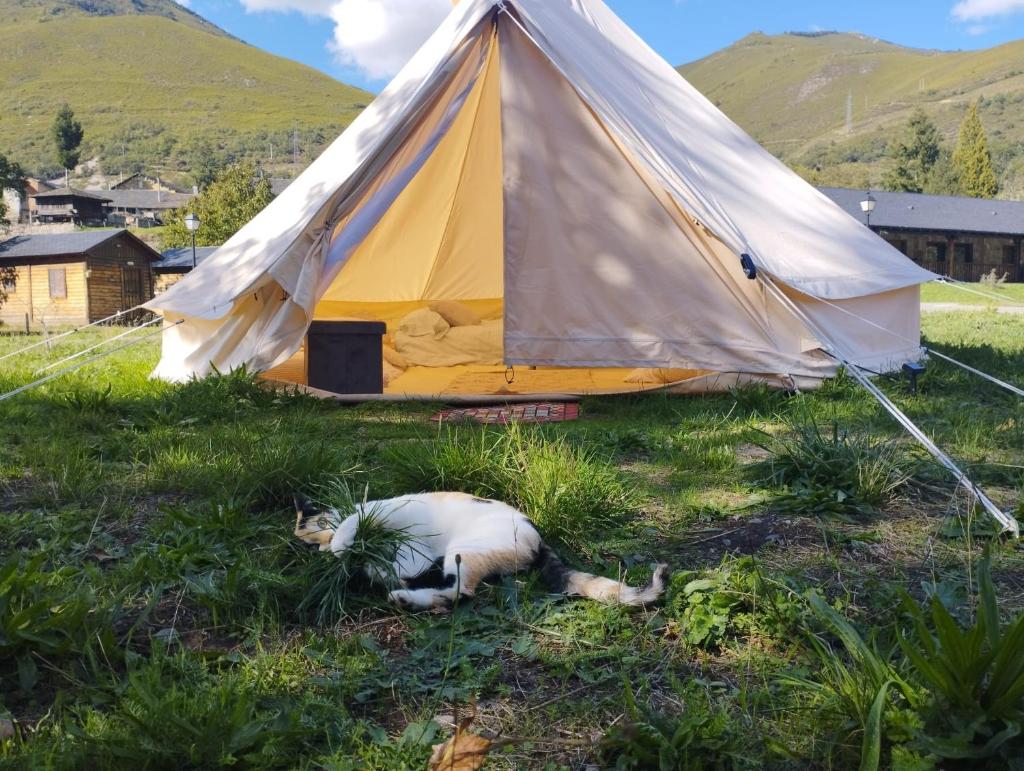 CAMPING LA ZARAPICA - Palacios del Sil photo 4