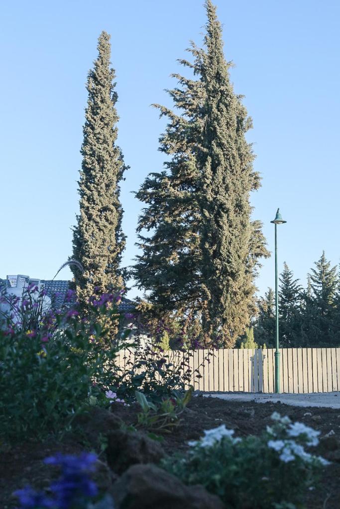 גל בהר photo 4