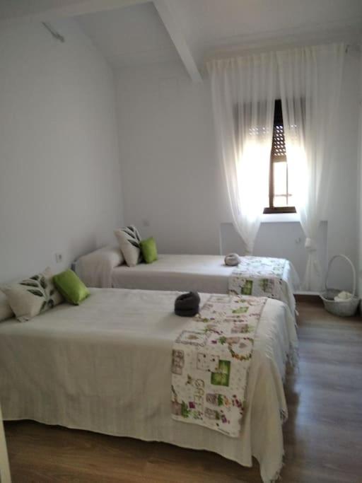 Finca El Pilar photo 3