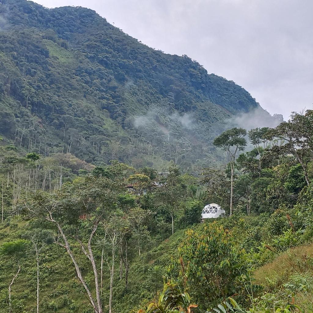 Glamping Rio Melcocho photo 1