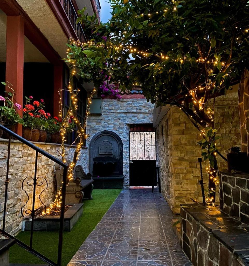 Hotel del Carmen photo 1