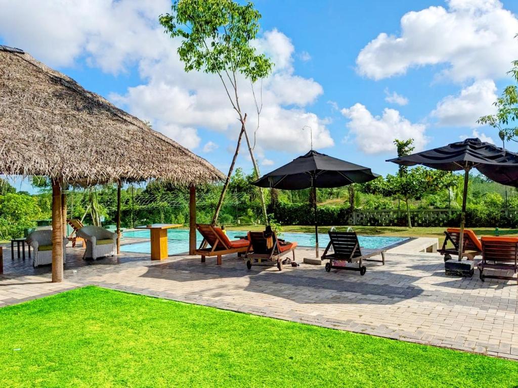 Villa Cinnamon Nature photo 4