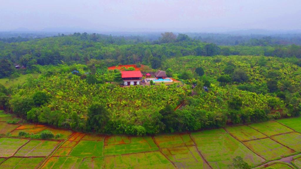 Villa Cinnamon Nature photo 2