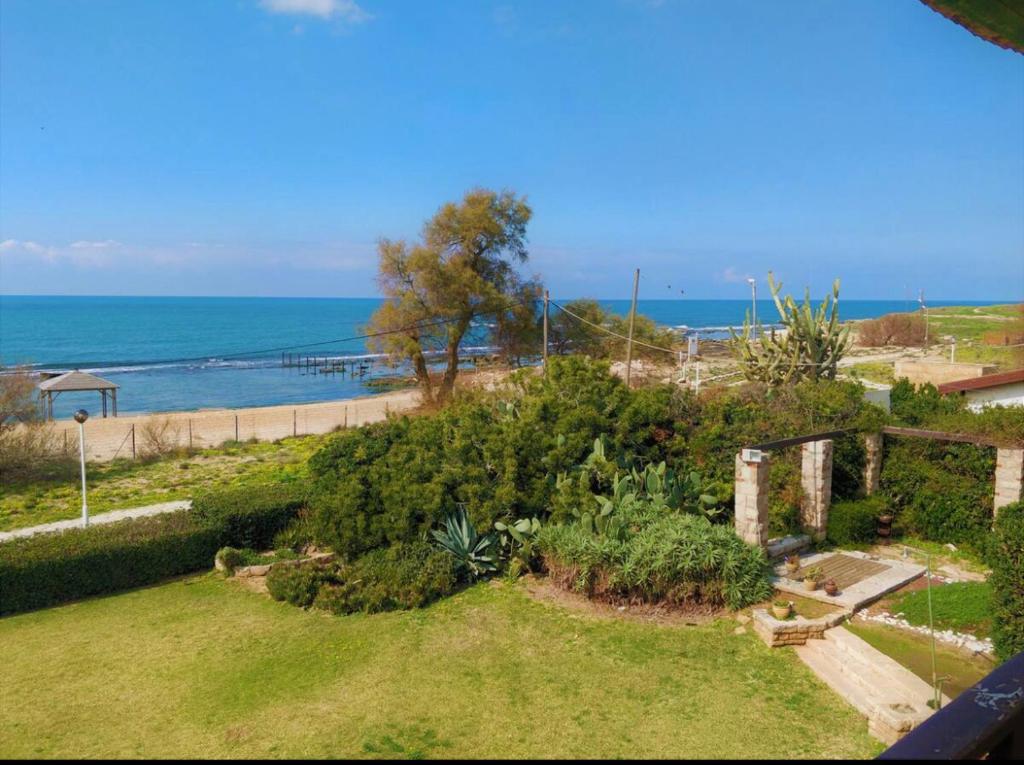 Beach Front Villa photo 2