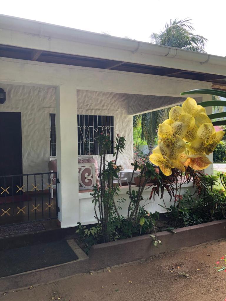HCS Bungalows Turtle Bay Rustic Bungalow photo 4