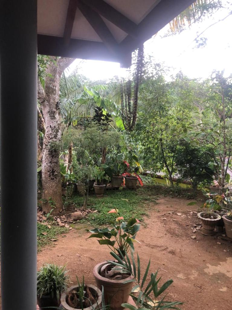 BuildZone Home Stay photo 1