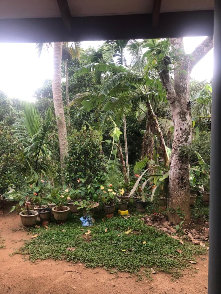 BuildZone Home Stay photo 2