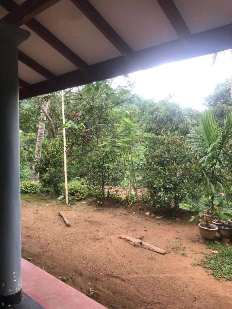BuildZone Home Stay photo 3