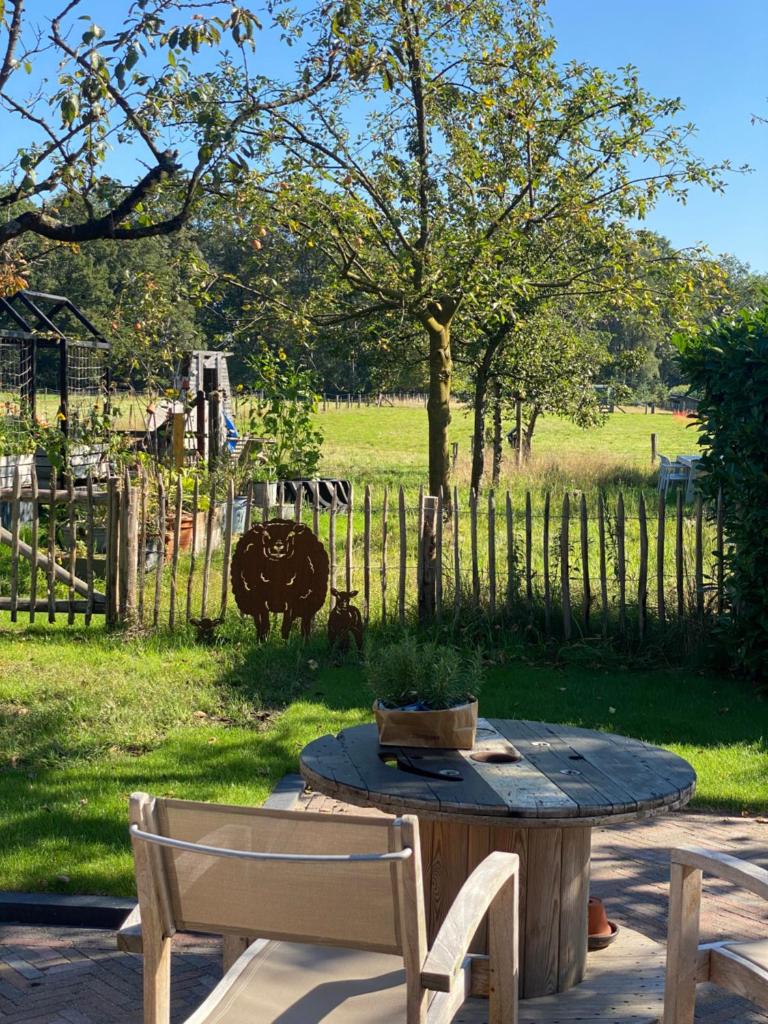 B&B Het Zwarte Schaap photo 1