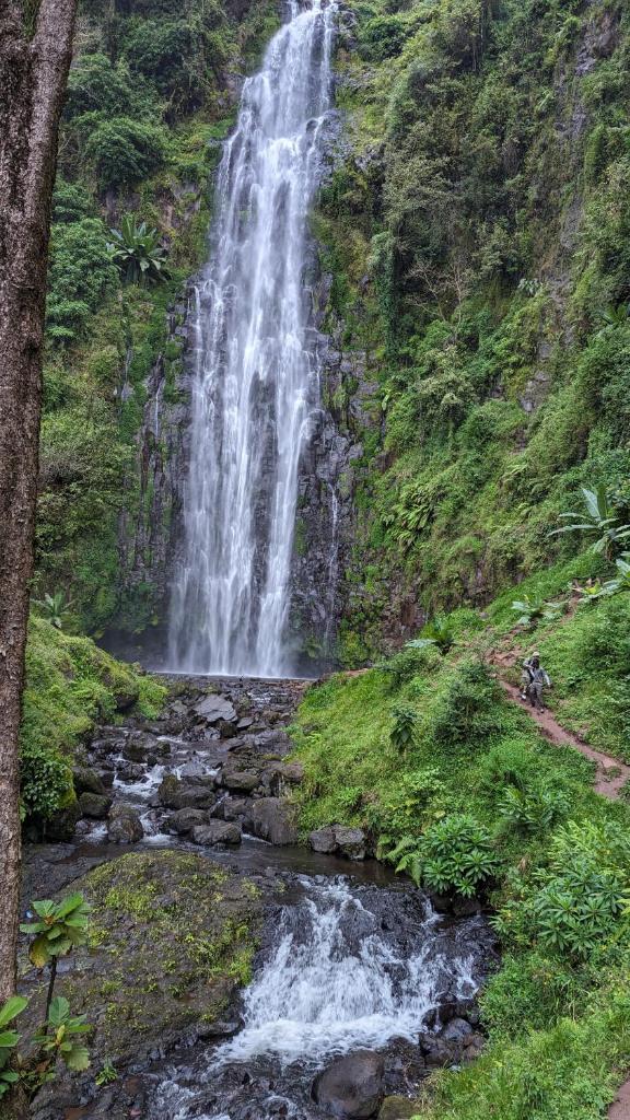 Arusha Holiday Safari photo 3
