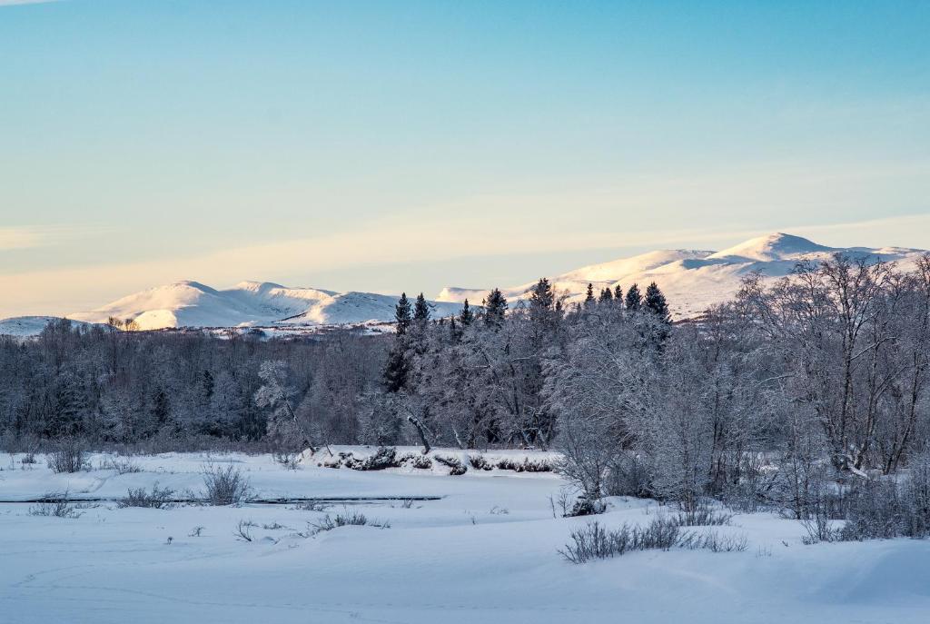 Vålådalens Fjällstation photo 3