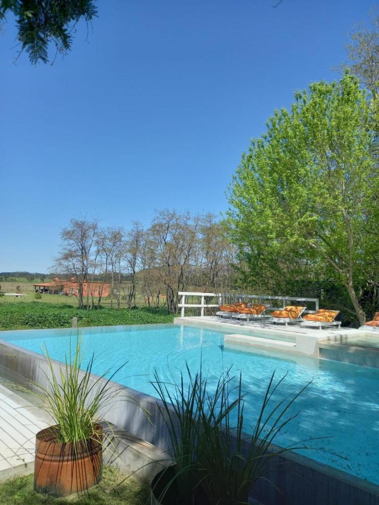 Mandarina suites