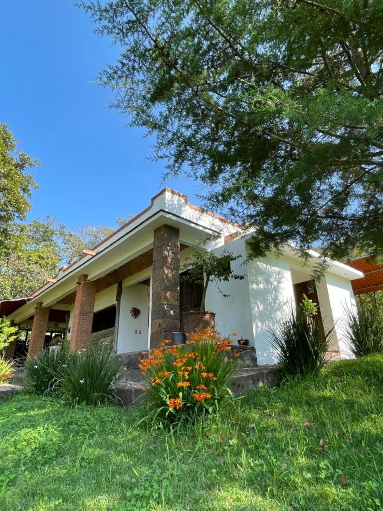 RANCHO LOS SIETE photo 3