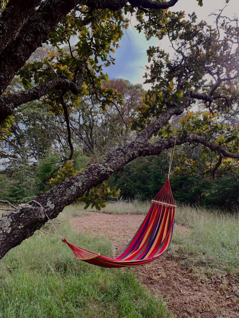RANCHO LOS SIETE photo 4