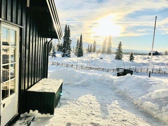 Beautifull cottage photo 1
