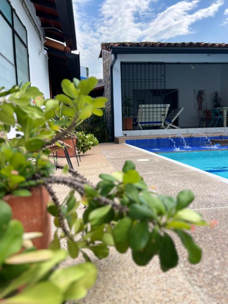 Casa Caribe Honda / Alojamiento Turístico. photo 4
