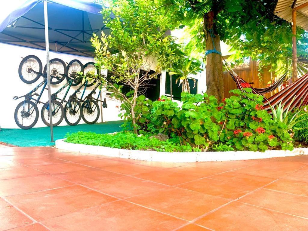 Hostal White House Galapagos photo 3