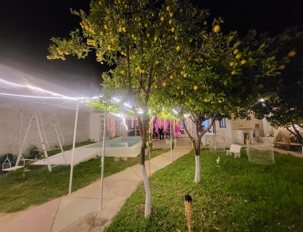 Edén photo 1