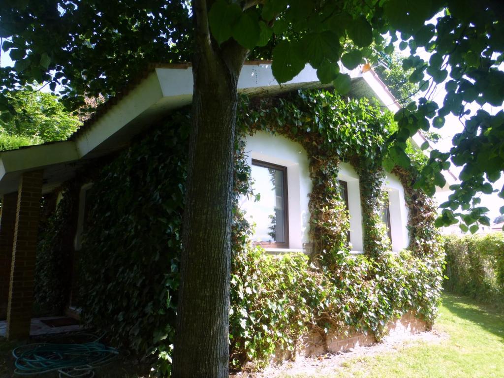 La Casina de Torra photo 4