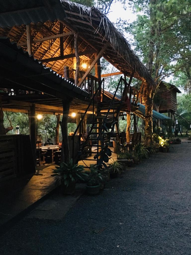 Tree house Hostel Sigiriya photo 1