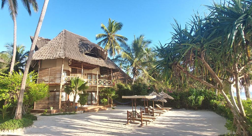 Zanziblue photo 4