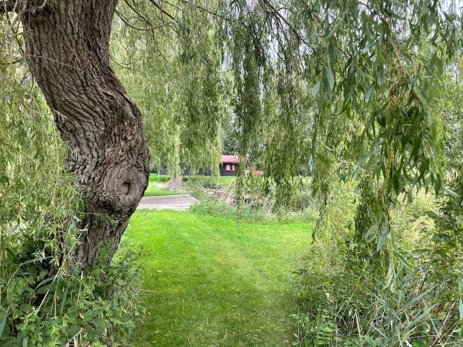 Charming Cottage photo 2