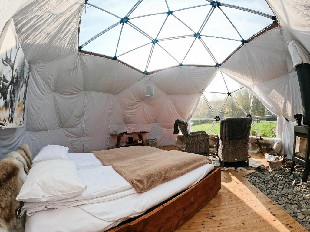 Wild Caribou Dome photo 2