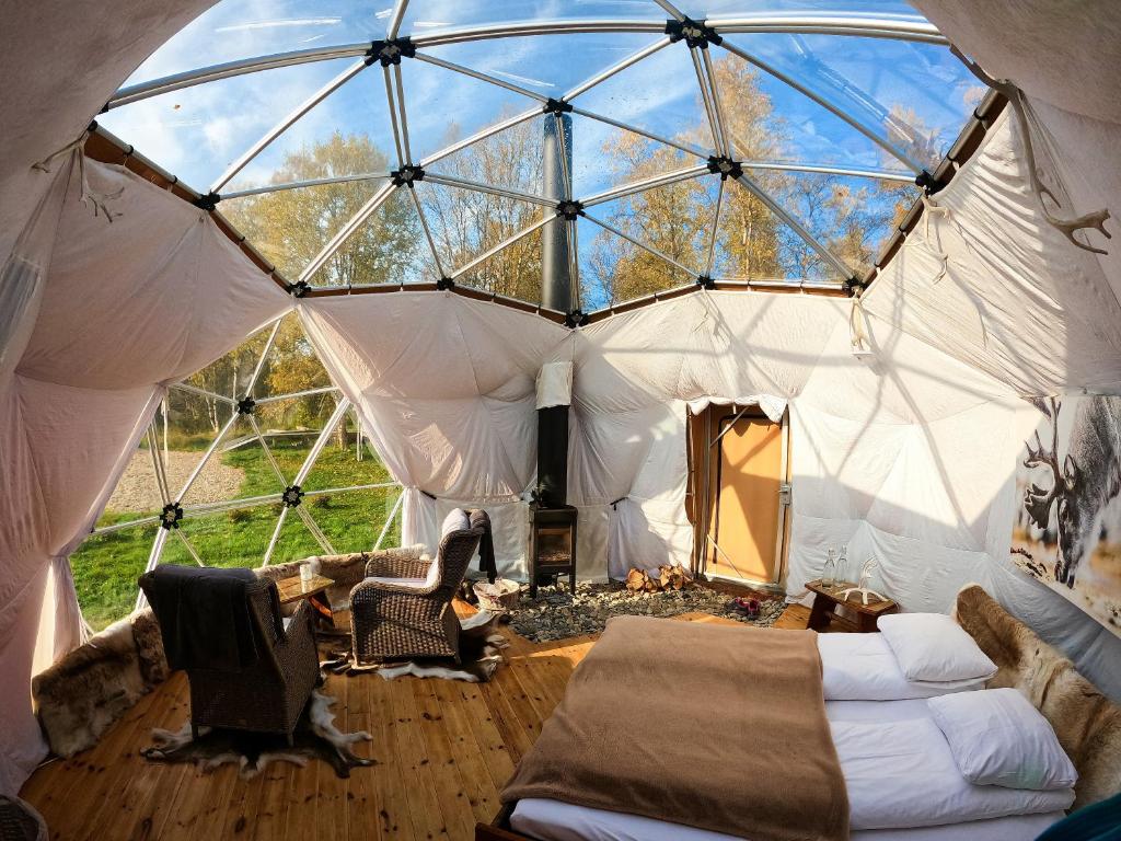 Wild Caribou Dome photo 1