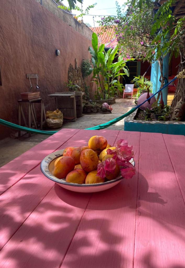 La Casa del Mango photo 4