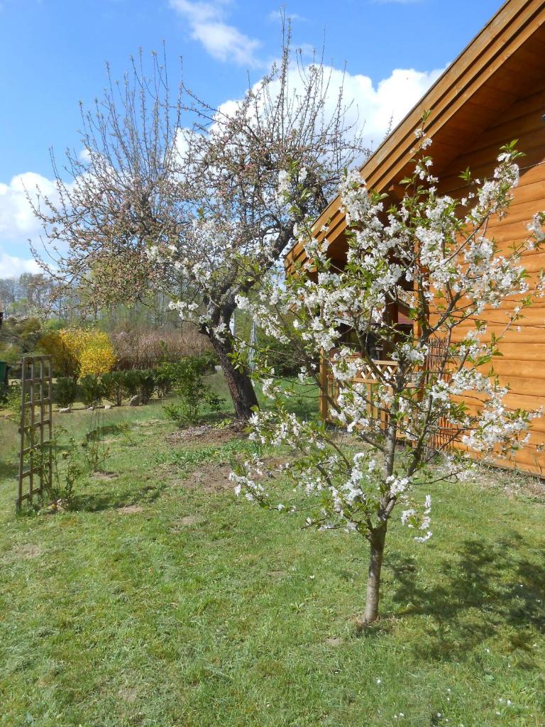 Ferienhaus Hensel photo 3
