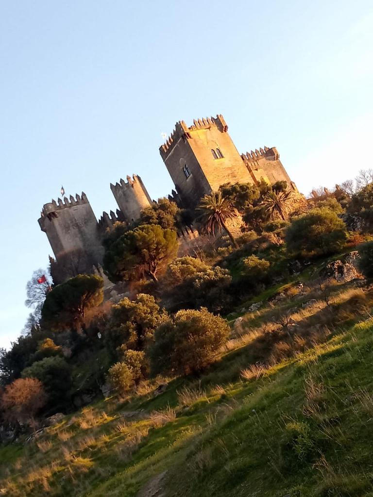 apartamento Castilla photo 4