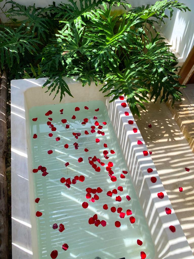 Bungalow House in Bacalar Center photo 2