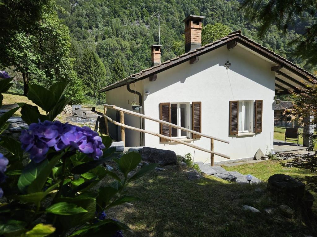 Verzasca: Casa Sonia photo 4