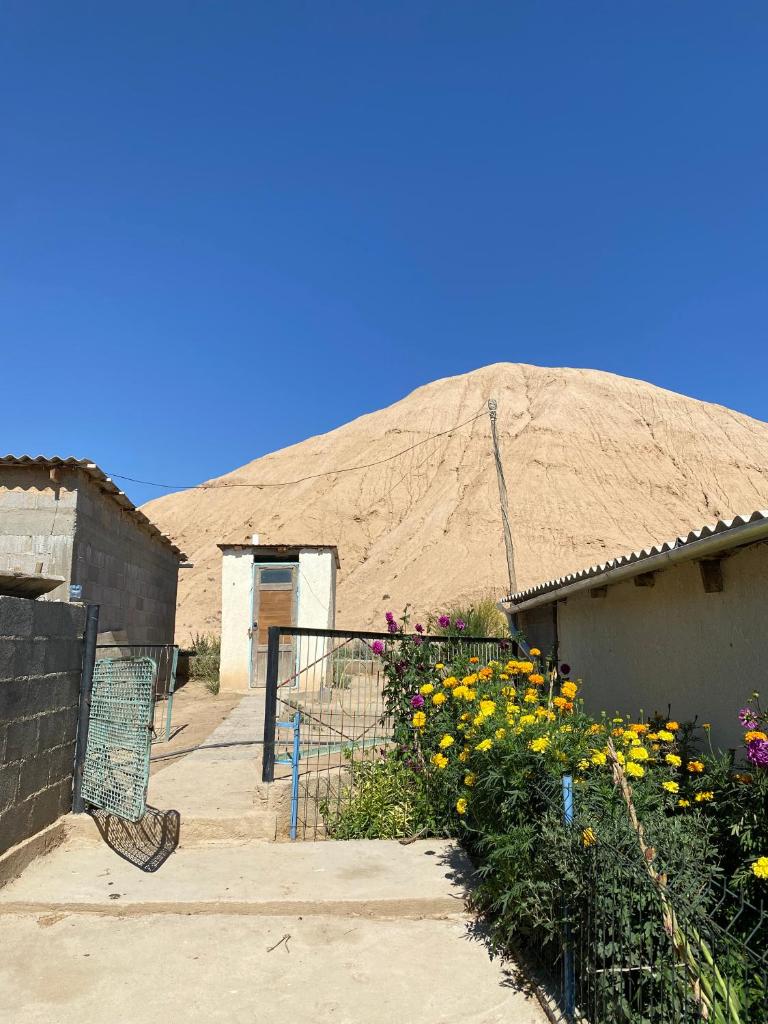 Dune Shed House photo 4