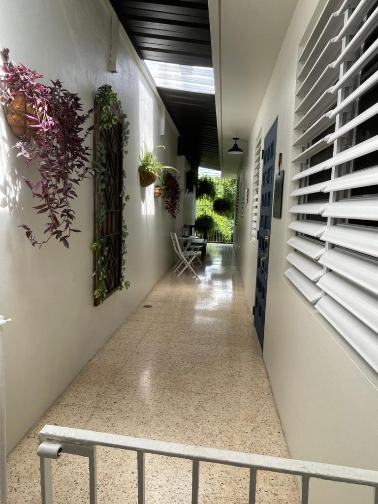 Casa Berilio photo 3
