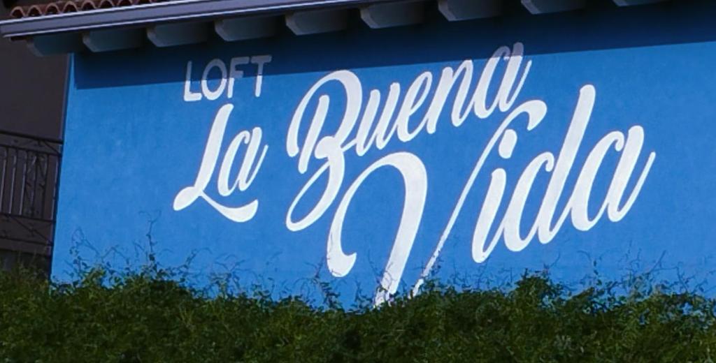 Loft La buena vida photo 2