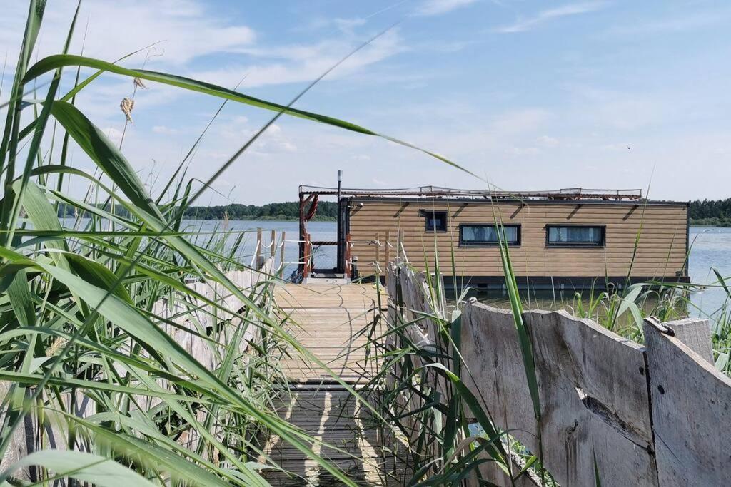 Ma maison sur L'eau - Lac du Der photo 3