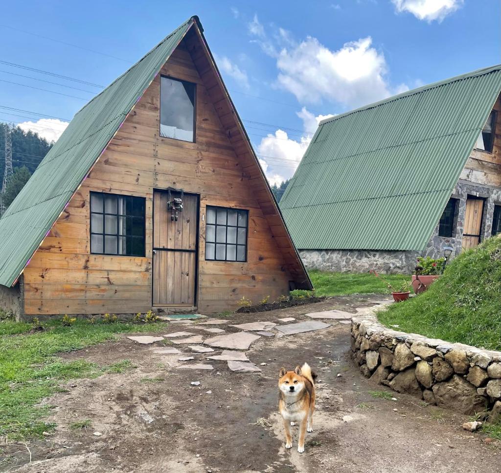 Bosque de Perlillas Room Type - Two-Bedroom Chalet