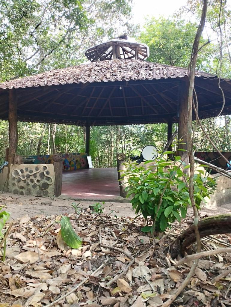 Igapó da Floresta photo 2