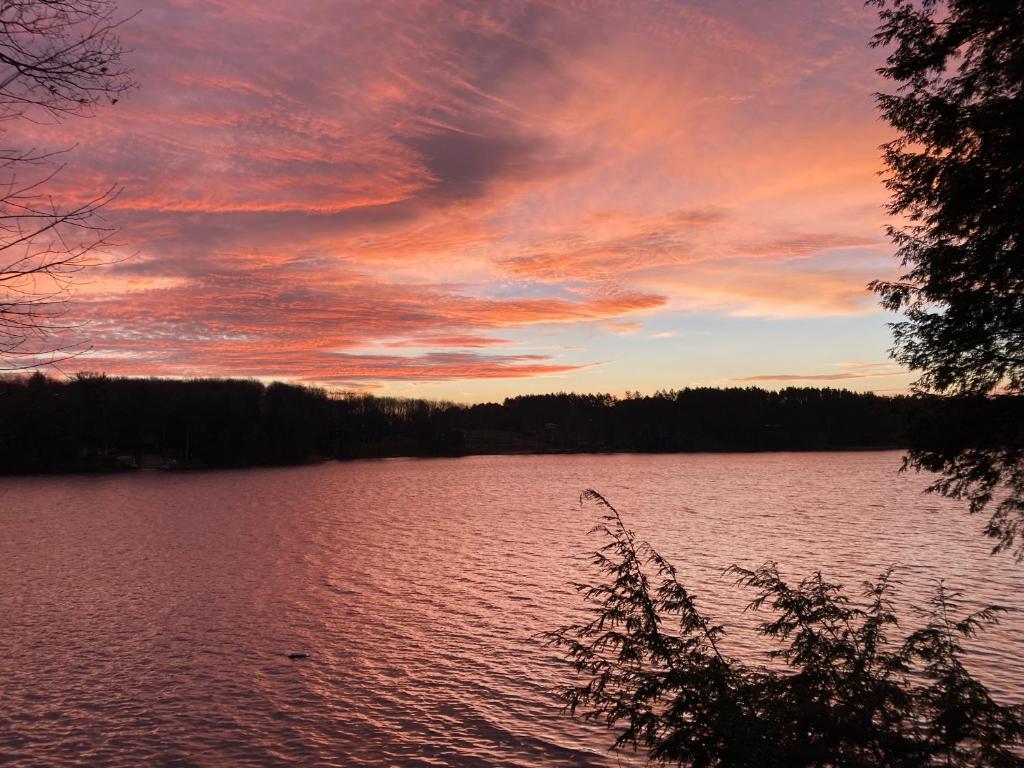 Dixon Lake Resort Motel photo 3