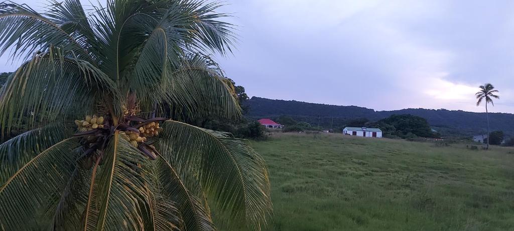 HAUT DE VILLA VU SUR LA MONTAGNE. photo 1