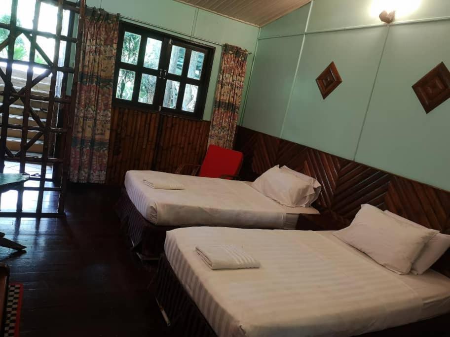Sepilok Jungle Resort photo 1