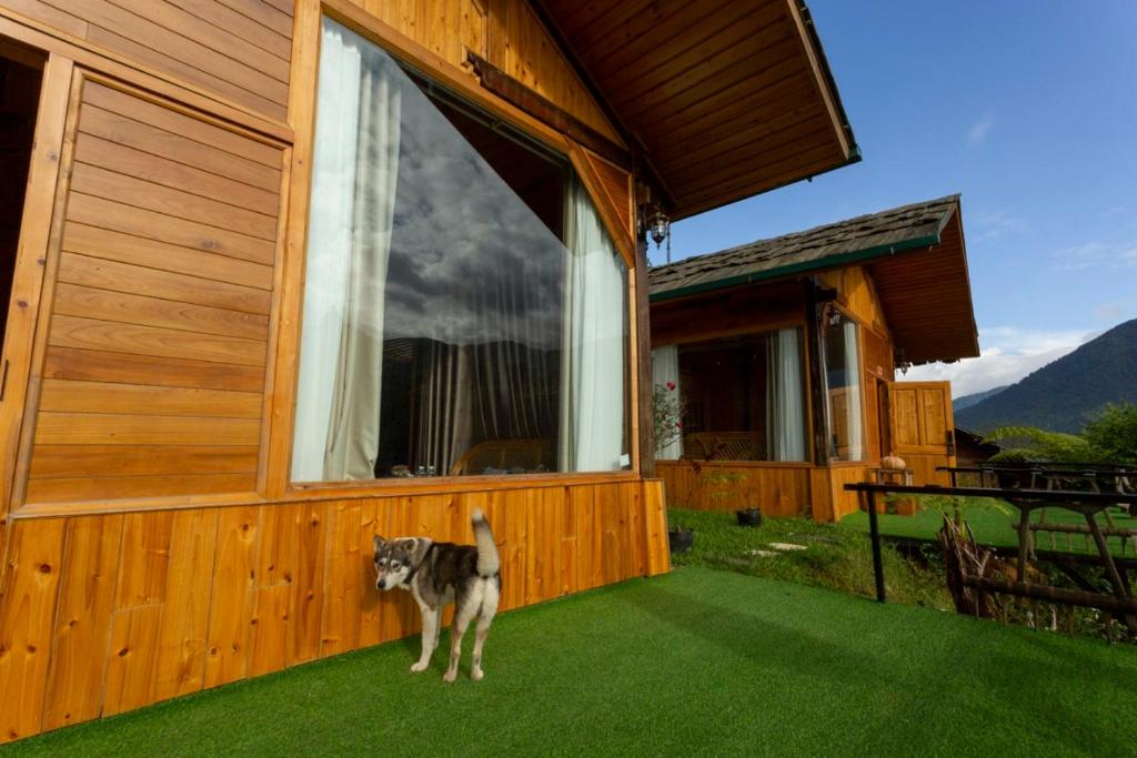 O'chau Homestay Sapa