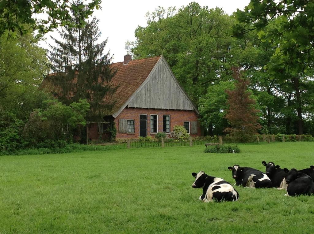 Erve het Otman photo 2