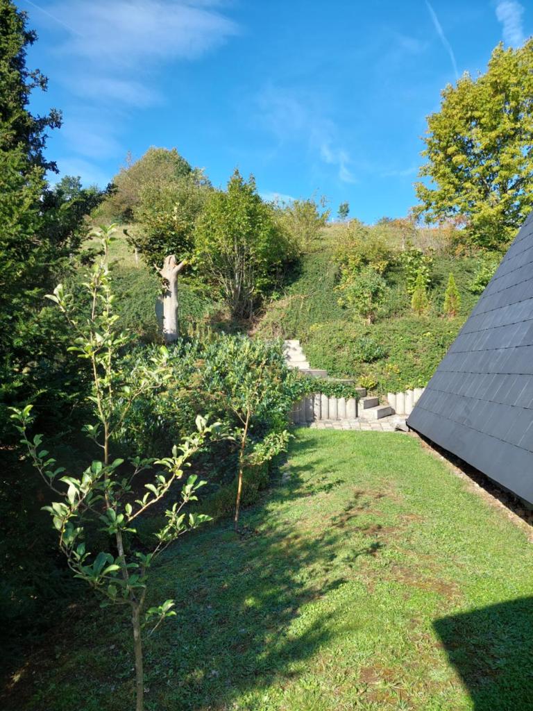 Haus am See photo 4